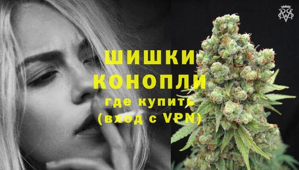 PSILOCYBIN Карталы