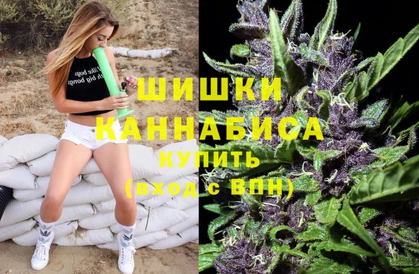 PSILOCYBIN Карталы