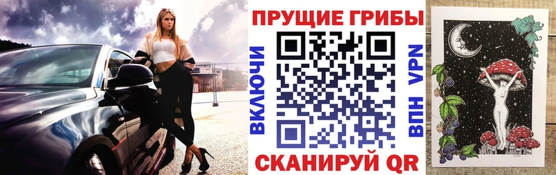 Купить закладки  Галич  Галлюциногенные грибы MAGIC MUSHROOMS 